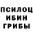 Псилоцибиновые грибы Psilocybe Doggi Channal