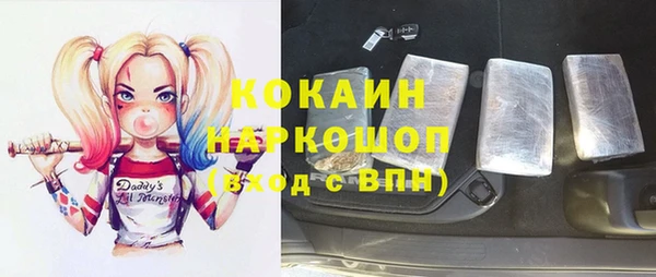 ешки Бородино