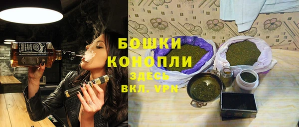 ешки Бородино