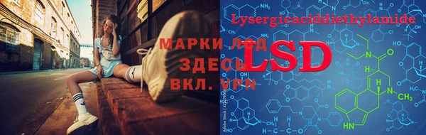 ешки Бородино